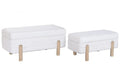 DESCALZADORA SET 2 POLIESTER 88X46X40 ALMACENAJE I
