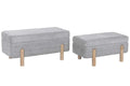 DESCALZADORA SET 2 POLIESTER 88X46X40 ALMACENAJE I