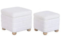 REPOSAPIES SET 2 POLIESTER 43X43X40 ALMACENAJE INT