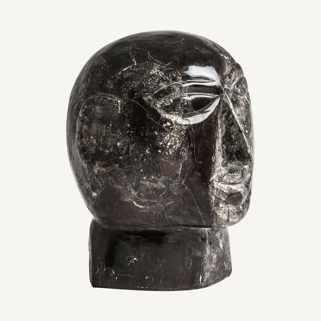 BUSTO ROBIN