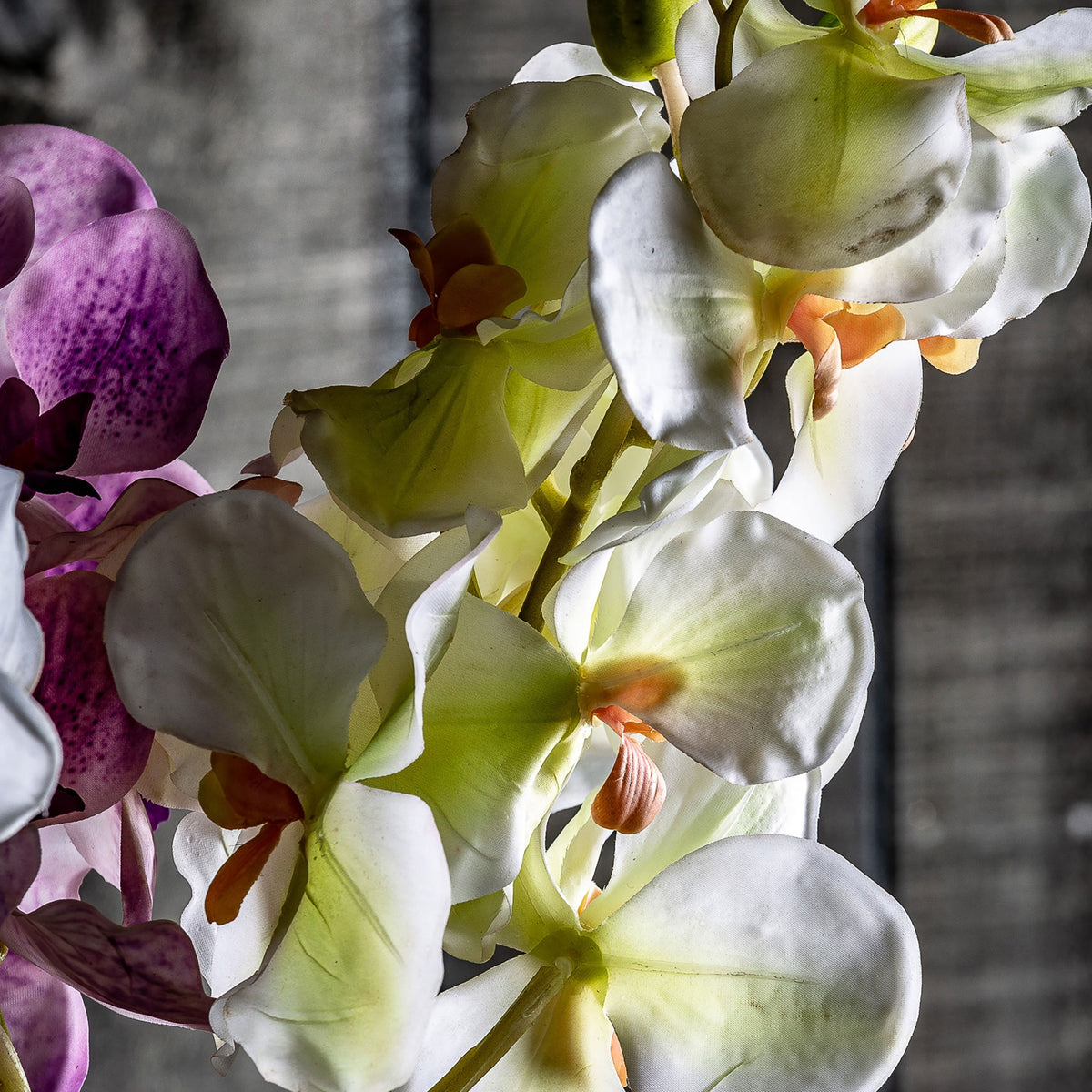FLOR ORQUÍDEA