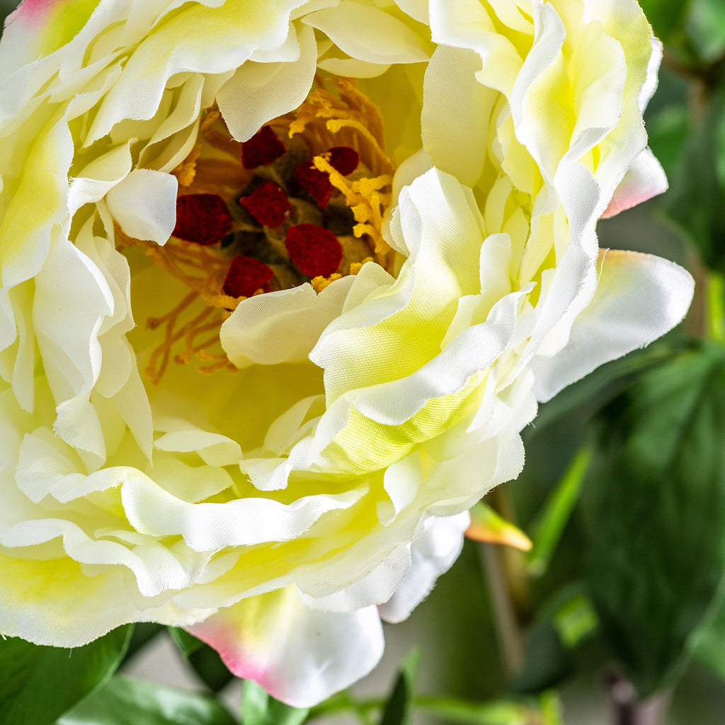FLOR ROSA