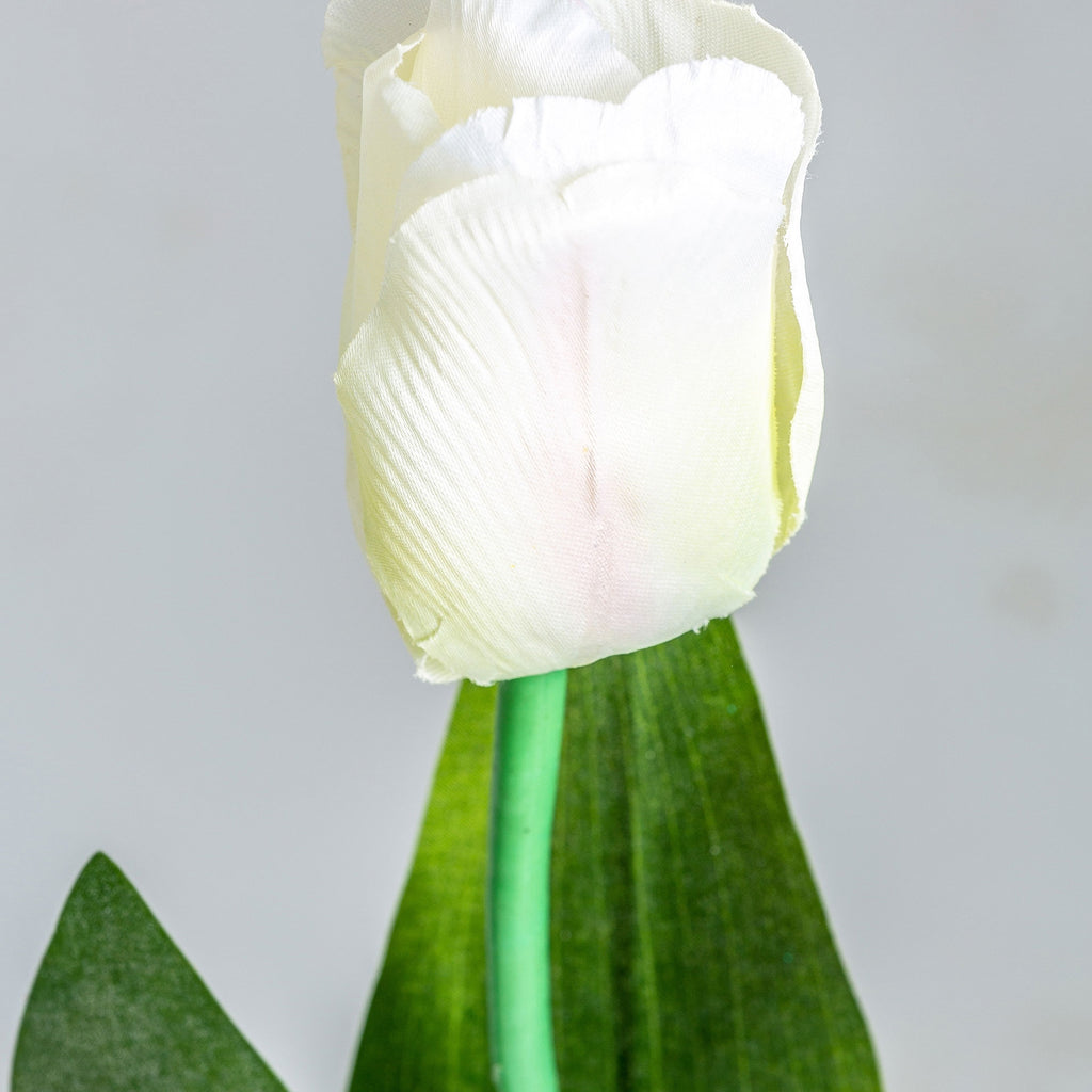 FLOR TULIPAN