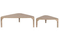 MESA CENTRO SET 2 MANGO 110X60X37 NATURAL