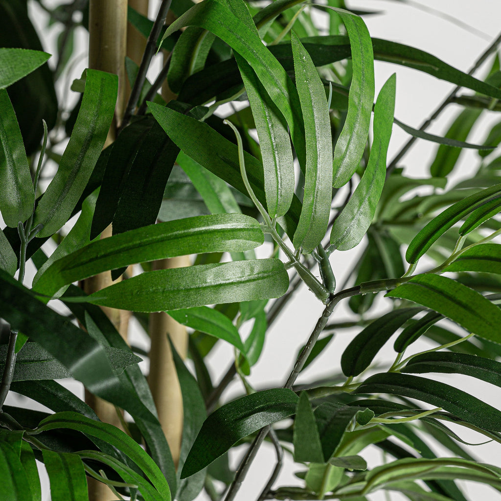 PLANTA BAMBÚ