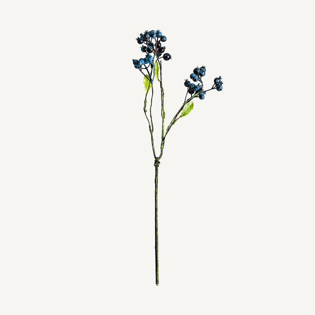 PLANTA VIBURNUM